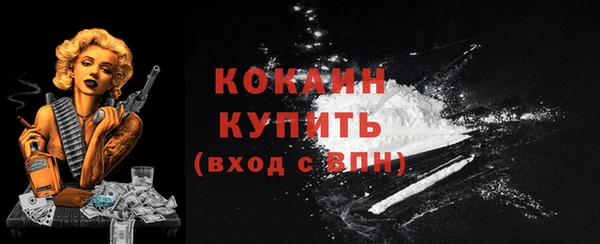 МДПВ Осташков